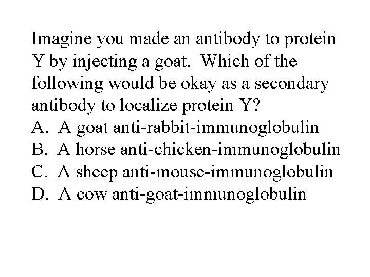 Imagine you made an antibody to protein Y by injecting a goat. Which of
