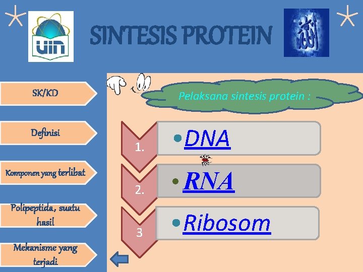 SINTESIS PROTEIN SK/KD Definisi Pelaksana sintesis protein : 1. • DNA 2. • RNA