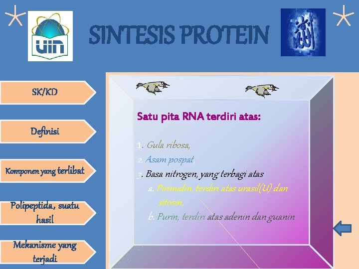 SINTESIS PROTEIN SK/KD Satu pita RNA terdiri atas: Definisi 1. Gula ribosa, Komponen yang