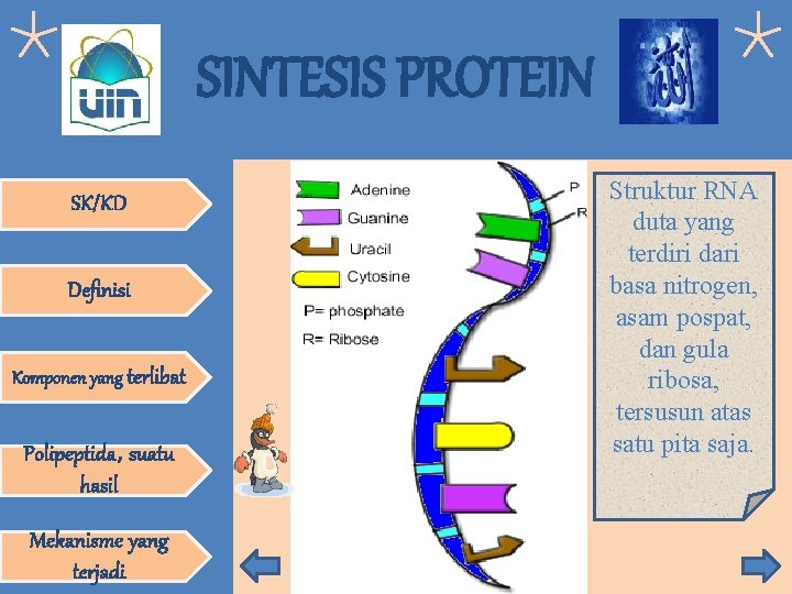 SINTESIS PROTEIN SK/KD Definisi Komponen yang terlibat Polipeptida, suatu hasil Mekanisme yang terjadi Struktur