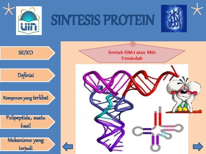 SINTESIS PROTEIN SK/KD Definisi Komponen yang terlibat Polipeptida, suatu hasil Mekanisme yang terjadi Bentuk