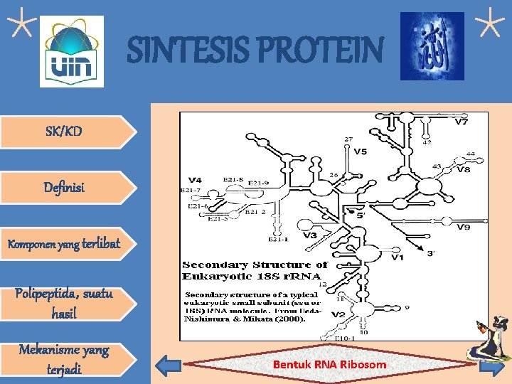 SINTESIS PROTEIN SK/KD Definisi Komponen yang terlibat Polipeptida, suatu hasil Mekanisme yang terjadi Bentuk