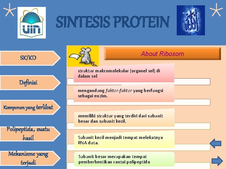 SINTESIS PROTEIN SK/KD About Ribosom struktur makromolekular (organel sel) di dalam sel Definisi mengandung