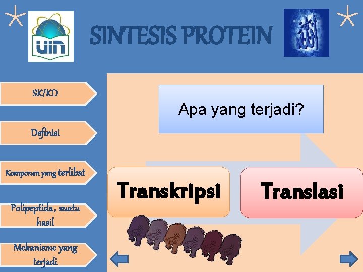 SINTESIS PROTEIN SK/KD Apa yang terjadi? Definisi Komponen yang terlibat Polipeptida, suatu hasil Mekanisme