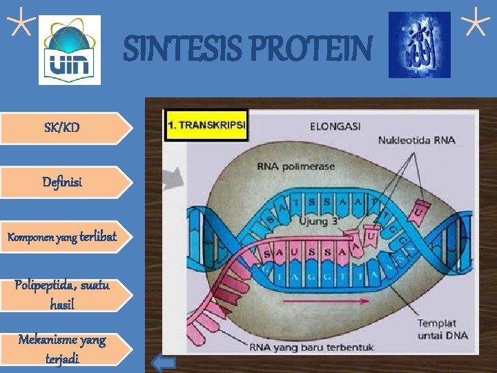 SINTESIS PROTEIN SK/KD Definisi Komponen yang terlibat Polipeptida, suatu hasil Mekanisme yang terjadi 