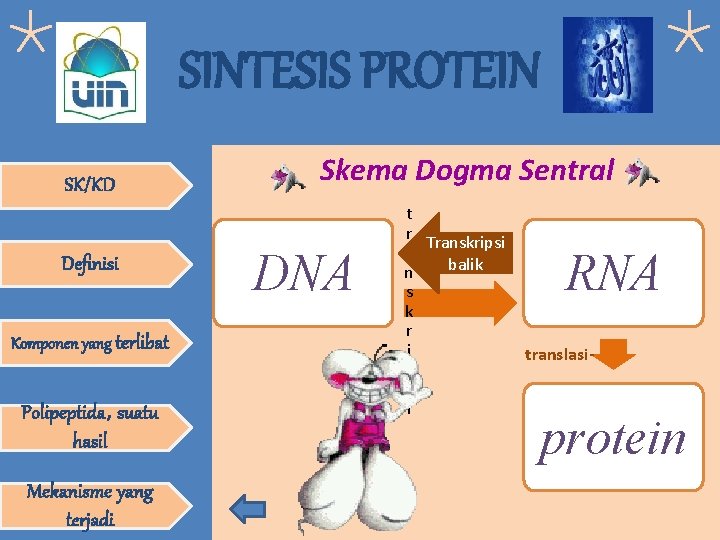 SINTESIS PROTEIN SK/KD Definisi Komponen yang terlibat Polipeptida, suatu hasil Mekanisme yang terjadi Skema