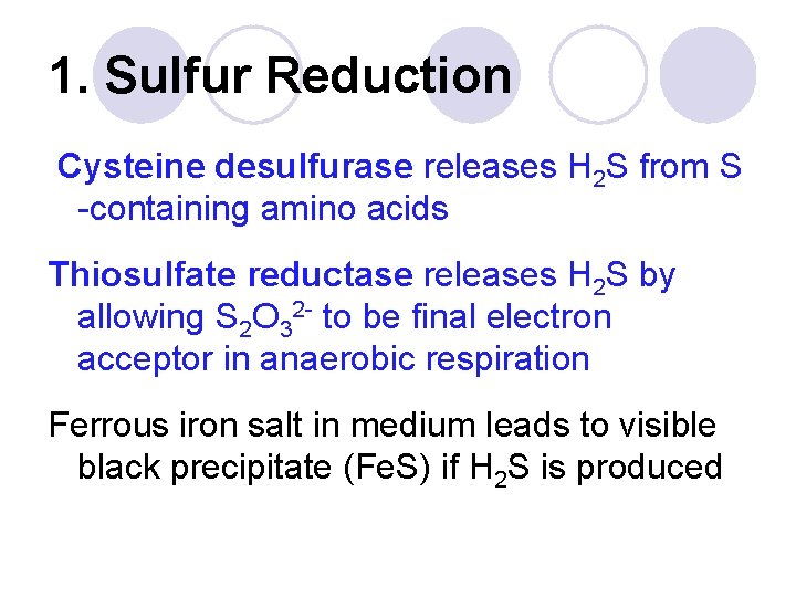 1. Sulfur Reduction Cysteine desulfurase releases H 2 S from S -containing amino acids