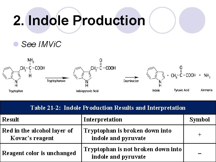 2. Indole Production l See IMVi. C Table 21 -2: Indole Production Results and