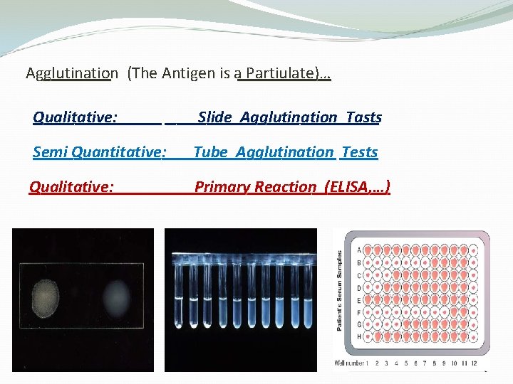 Agglutination (The Antigen is a Partiulate)… Qualitative: Slide Agglutination Tasts Semi Quantitative: Tube Agglutination