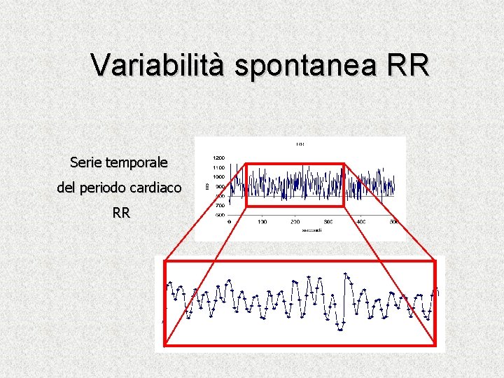 Variabilità spontanea RR Serie temporale del periodo cardiaco RR 