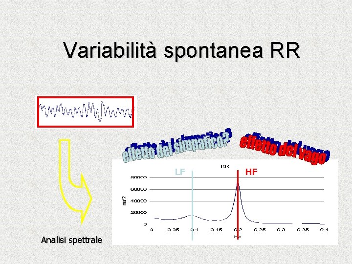 Variabilità spontanea RR LF Analisi spettrale HF 