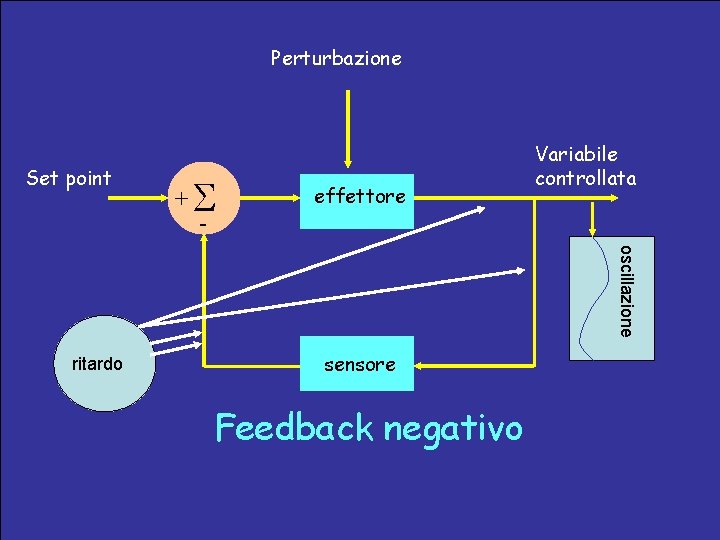 Perturbazione Set point + - effettore Variabile controllata oscillazione ritardo sensore Feedback negativo 