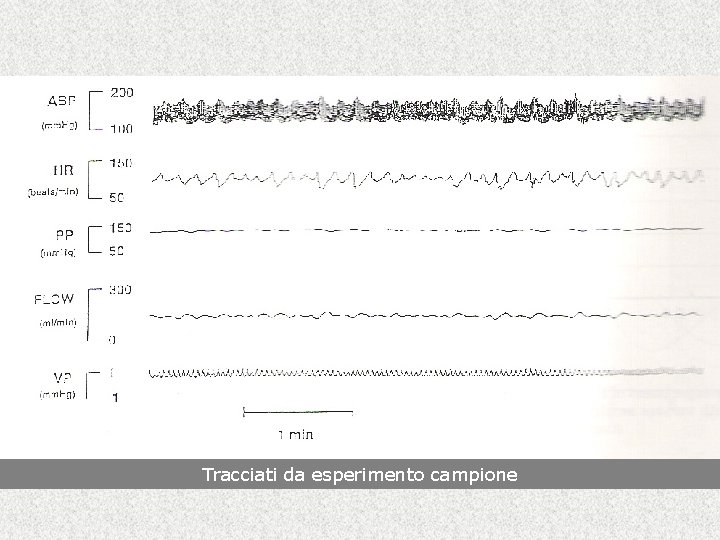 Tracciati da esperimento campione 