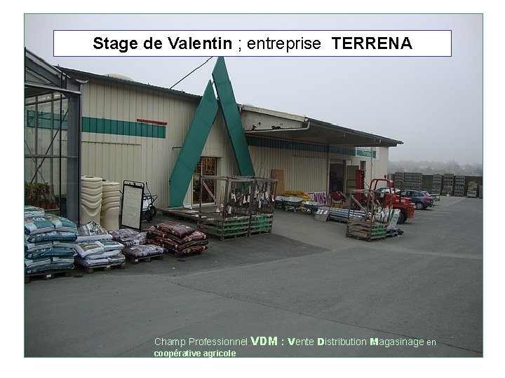 Stage de Valentin ; entreprise TERRENA Champ Professionnel VDM : Vente Distribution Magasinage en