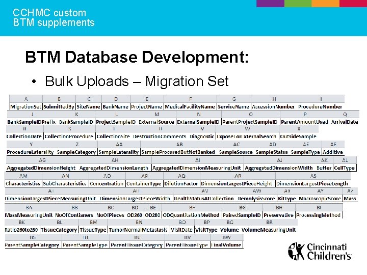 CCHMC custom BTM supplements BTM Database Development: • Bulk Uploads – Migration Set 