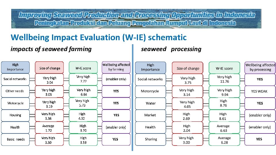 Wellbeing Impact Evaluation (W-IE) schematic impacts of seaweed farming seaweed processing 