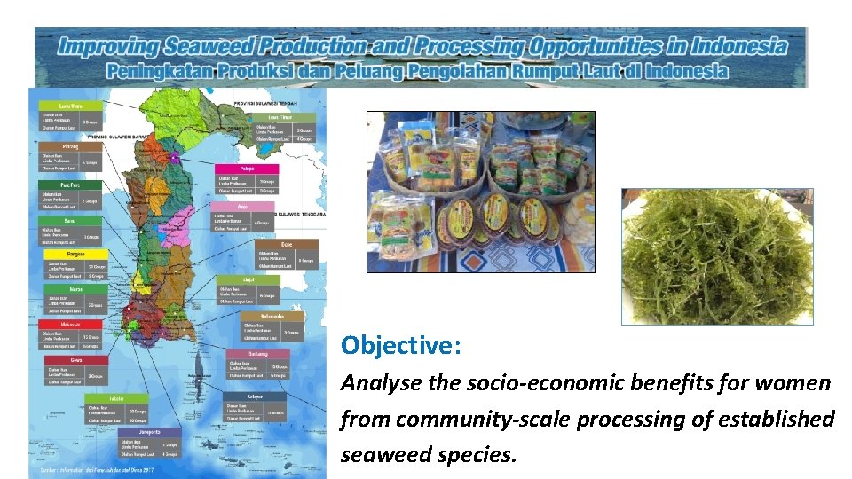 Objective: Analyse the socio-economic benefits for women from community-scale processing of established seaweed species.