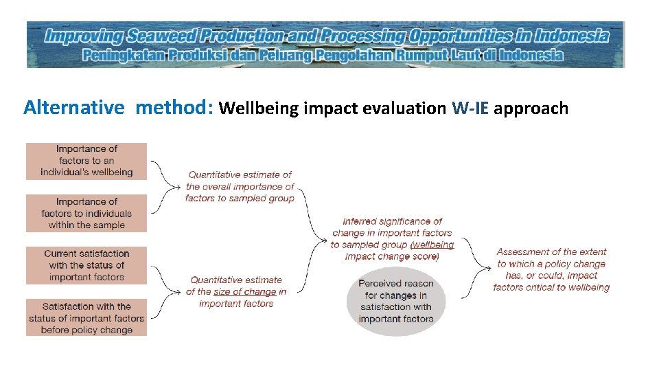 Alternative method: Wellbeing impact evaluation W-IE approach 
