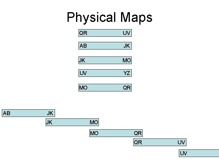 Physical Maps AB QR UV AB JK JK MO UV YZ MO QR JK