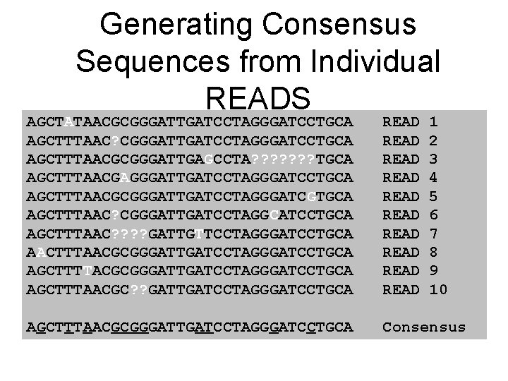 Generating Consensus Sequences from Individual READS AGCTATAACGCGGGATTGATCCTAGGGATCCTGCA AGCTTTAAC? CGGGATTGATCCTAGGGATCCTGCA AGCTTTAACGCGGGATTGAGCCTA? ? ? ? TGCA
