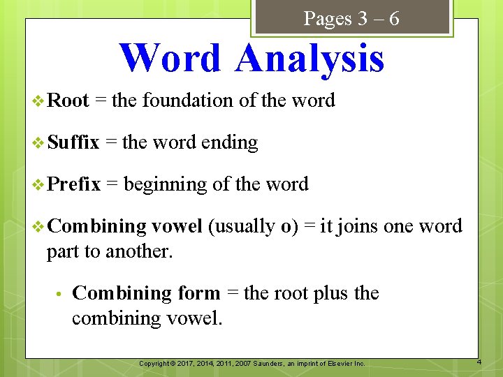Pages 3 – 6 Word Analysis v Root = the foundation of the word