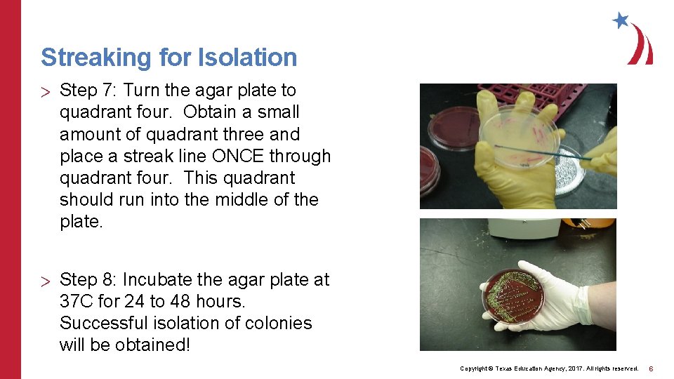 Streaking for Isolation > Step 7: Turn the agar plate to quadrant four. Obtain