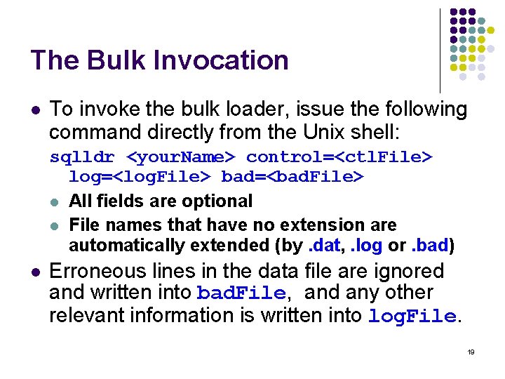 The Bulk Invocation l To invoke the bulk loader, issue the following command directly