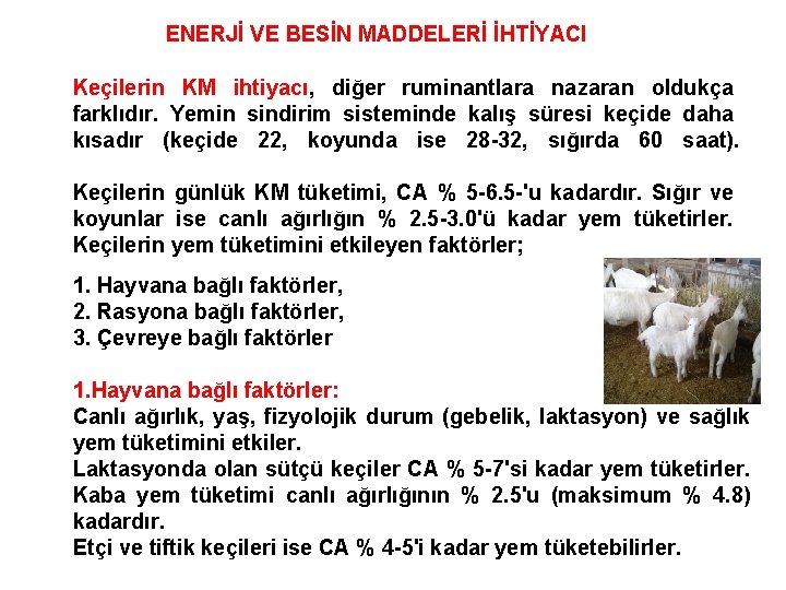 ENERJİ VE BESİN MADDELERİ İHTİYACI Keçilerin KM ihtiyacı, diğer ruminantlara nazaran oldukça farklıdır. Yemin