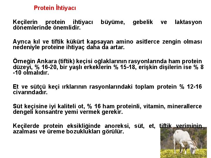 Protein İhtiyacı Keçilerin protein ihtiyacı dönemlerinde önemlidir. büyüme, gebelik ve laktasyon Ayrıca kıl ve