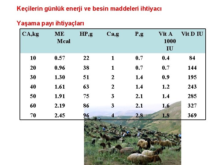 Keçilerin günlük enerji ve besin maddeleri ihtiyacı Yaşama payı ihtiyaçları CA, kg ME Mcal