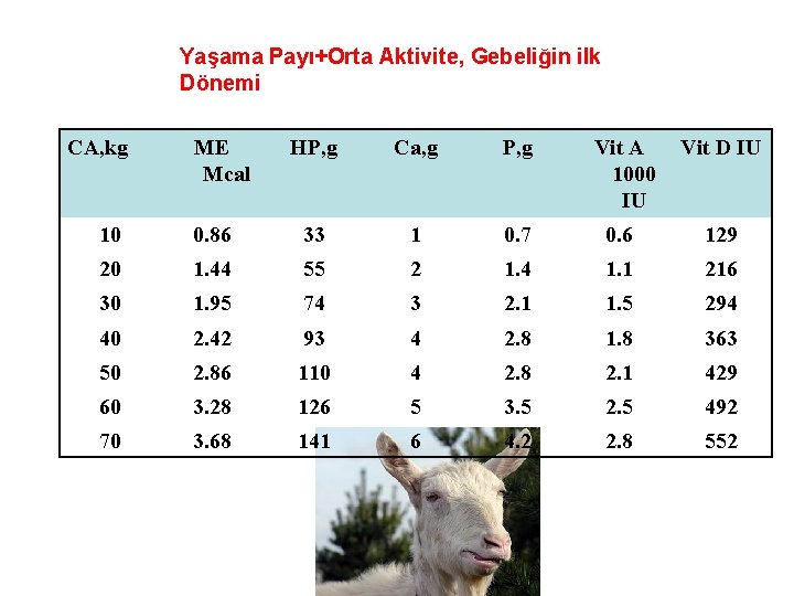 Yaşama Payı+Orta Aktivite, Gebeliğin ilk Dönemi CA, kg ME Mcal HP, g Ca, g