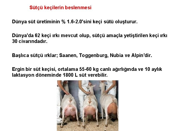 Sütçü keçilerin beslenmesi Dünya süt üretiminin % 1. 6 -2. 0'sini keçi sütü oluşturur.