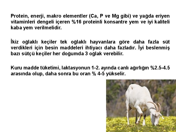 Protein, enerji, makro elementler (Ca, P ve Mg gibi) ve yağda eriyen vitaminleri dengeli