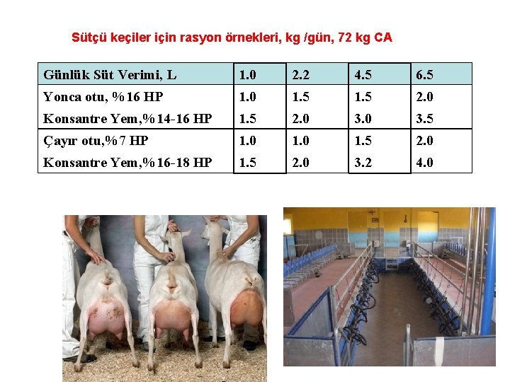 Sütçü keçiler için rasyon örnekleri, kg /gün, 72 kg CA Günlük Süt Verimi, L