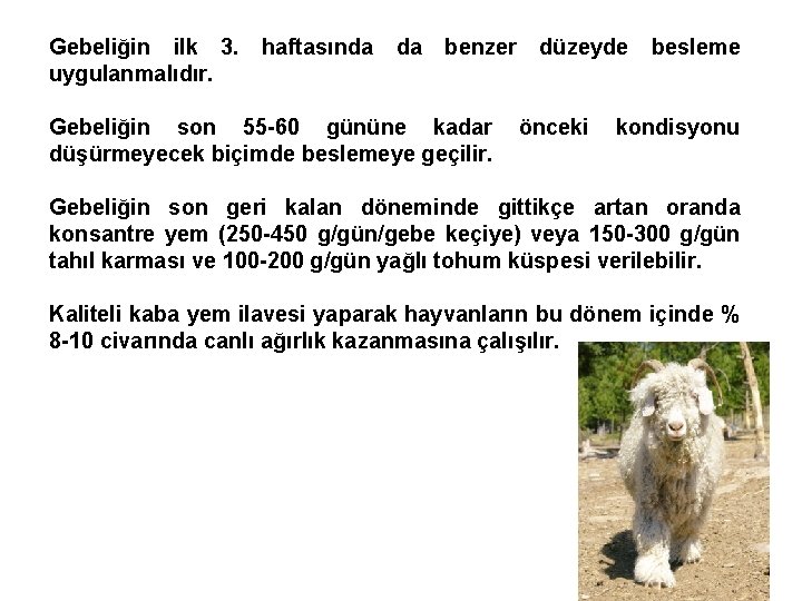 Gebeliğin ilk 3. uygulanmalıdır. haftasında da benzer Gebeliğin son 55 -60 gününe kadar düşürmeyecek