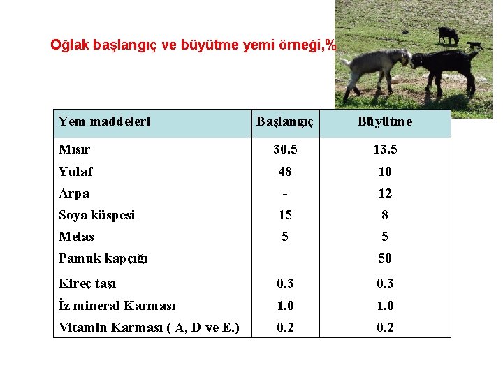 Oğlak başlangıç ve büyütme yemi örneği, % Yem maddeleri Başlangıç Büyütme Mısır 30. 5
