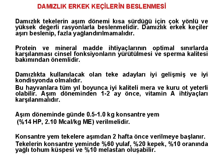 DAMIZLIK ERKEK KEÇİLERİN BESLENMESİ Damızlık tekelerin aşım dönemi kısa sürdüğü için çok yönlü ve