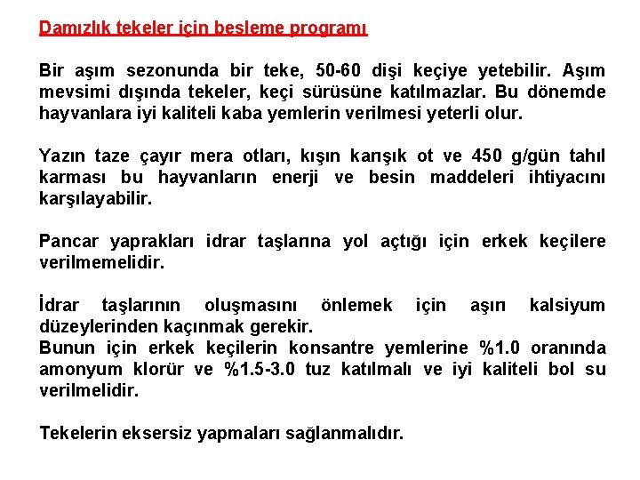 Damızlık tekeler için besleme programı Bir aşım sezonunda bir teke, 50 -60 dişi keçiye