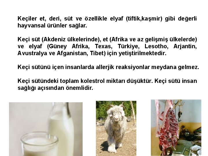 Keçiler et, deri, süt ve özellikle elyaf (tiftik, kaşmir) gibi değerli hayvansal ürünler sağlar.