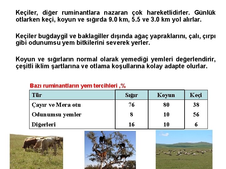 Keçiler, diğer ruminantlara nazaran çok hareketlidirler. Günlük otlarken keçi, koyun ve sığırda 9. 0
