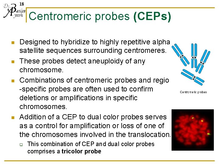 18 Centromeric probes (CEPs) n n Designed to hybridize to highly repetitive alpha satellite