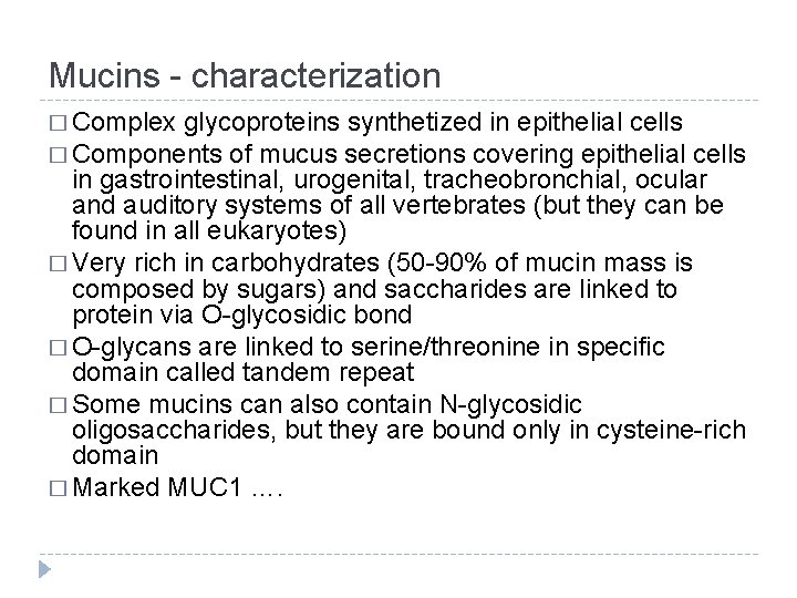 Mucins - characterization � Complex glycoproteins synthetized in epithelial cells � Components of mucus