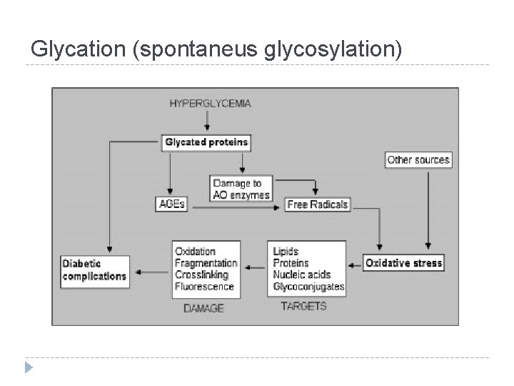 Glycation (spontaneus glycosylation) 
