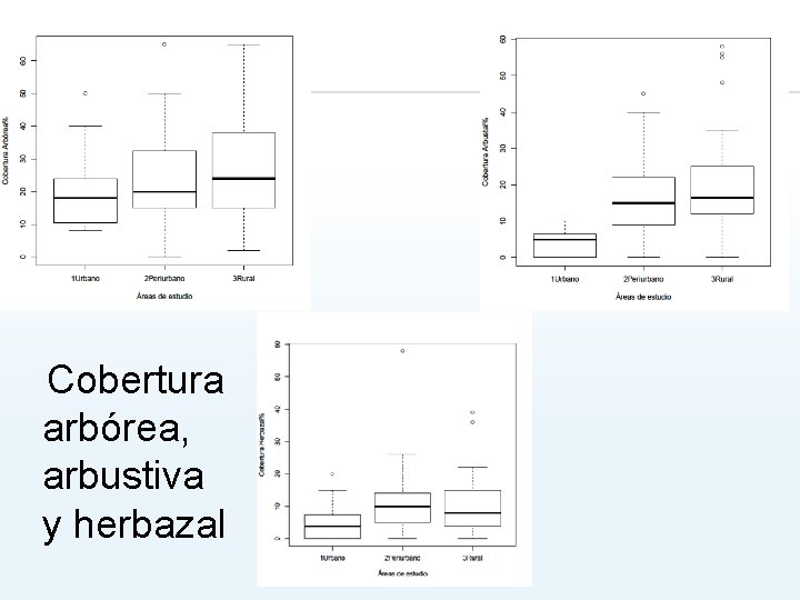 Cobertura arbórea, arbustiva y herbazal 