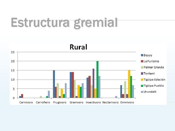 Estructura gremial 