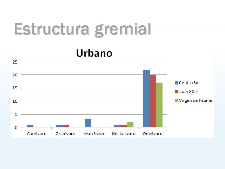 Estructura gremial 