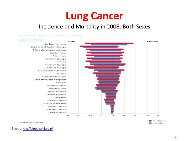 Lung Cancer Incidence and Mortality in 2008: Both Sexes Source: http: //globocan. iarc. fr/