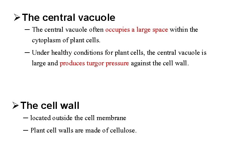 Ø The central vacuole – The central vacuole often occupies a large space within