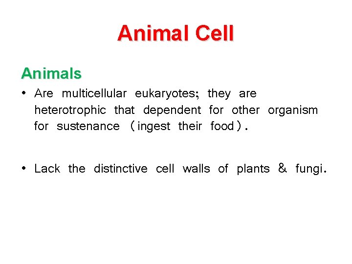 Animal Cell Animals • Are multicellular eukaryotes; they are heterotrophic that dependent for other