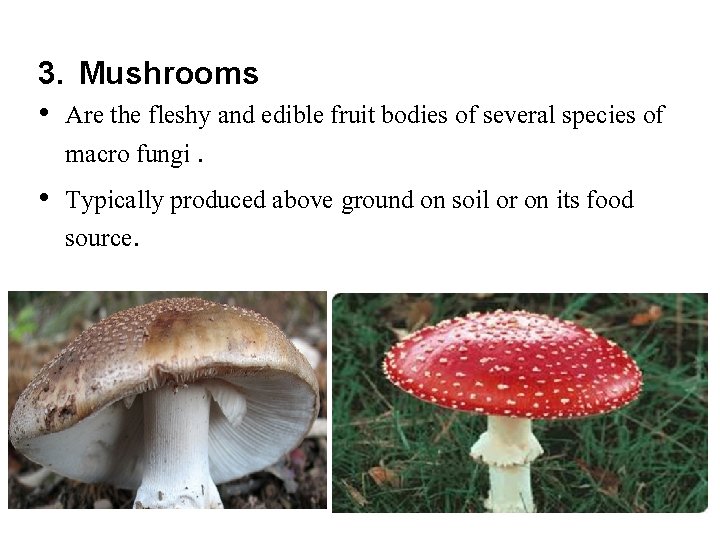 3. Mushrooms • Are the fleshy and edible fruit bodies of several species of